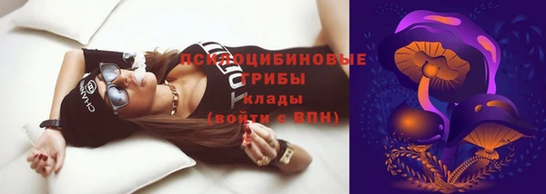 гашик Верхний Тагил