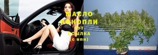 гашик Верхний Тагил